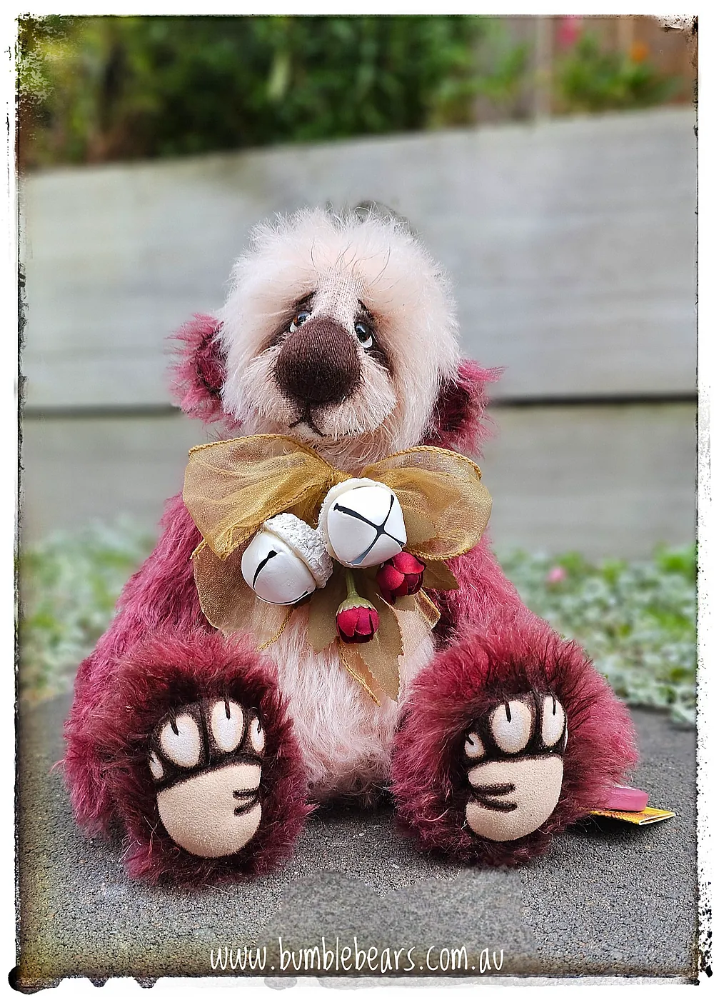 RASPBEARY RIPPLE by Katrina Beveridge - Bear Pile