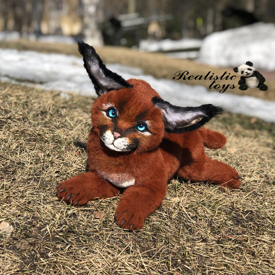 caracal plush