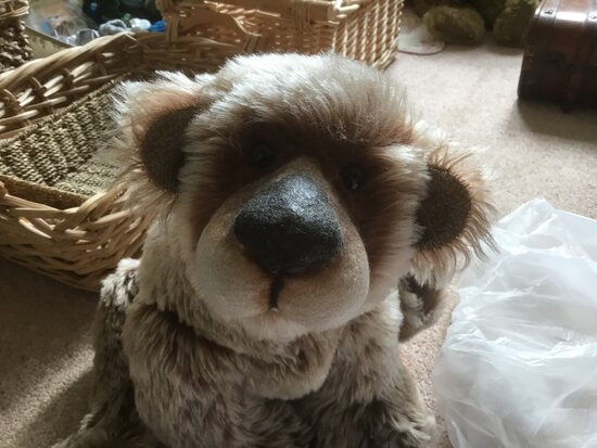 Grizzly by Jill Baxter - Somethings Bruin - Bear Pile