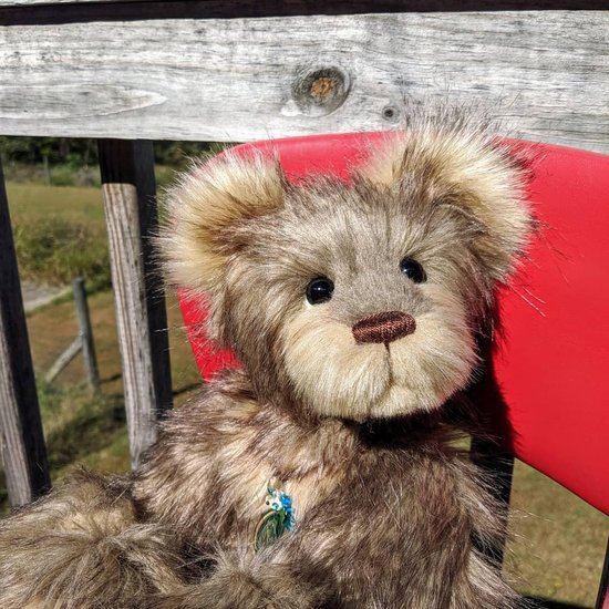 born in 2019 teddy bear