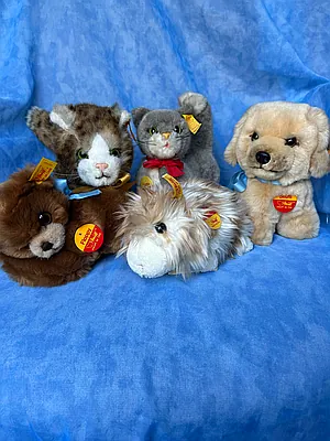 Search Results - Bear Pile