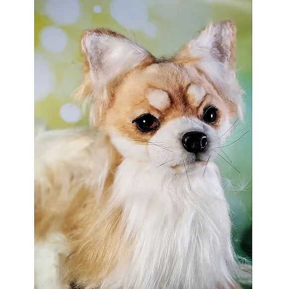 chihuahua dog Miki by Svetlana Akimova - Bear Pile