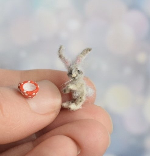 micro rabbit