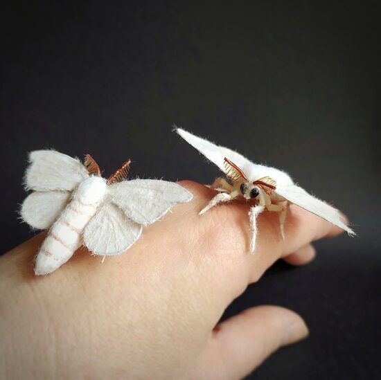 Silkworm moth by Julia Budkina Bear Pile