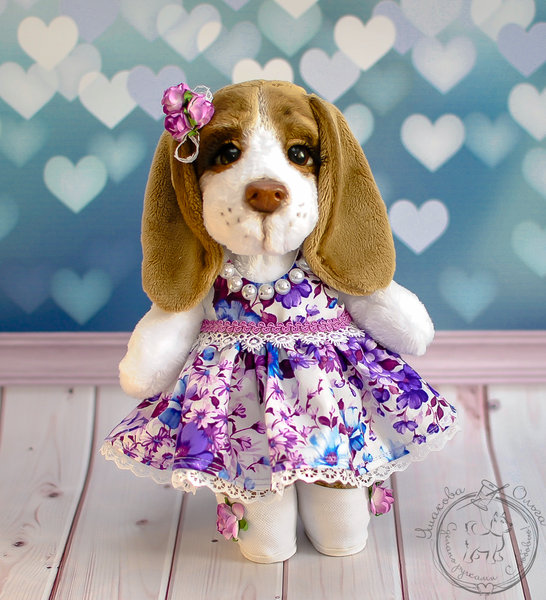 beagle teddy