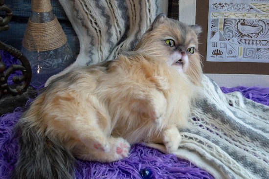 Long Haired Munchkin Exot By Maker Bear Pile