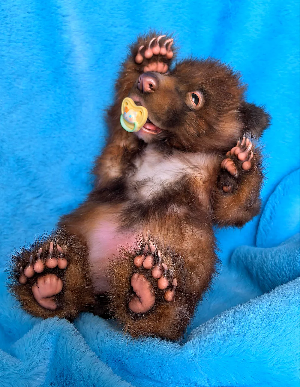 newborn bear&Pacifier by Natalia Ivashko - Bear Pile