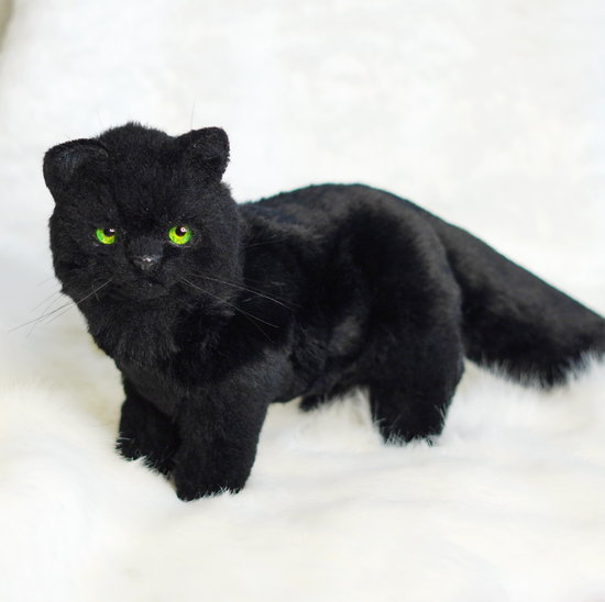 stuffed black cat realistic
