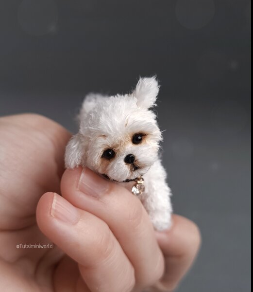Puppy Alex by Natasha Semenchenko - Bear Pile