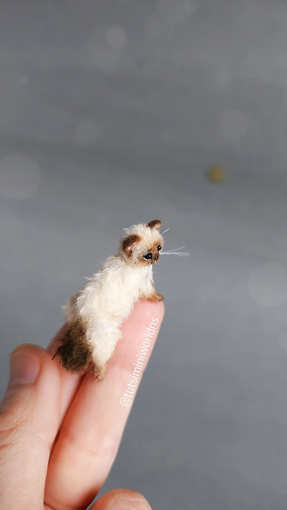 海外作家　シャム子猫ちゃん　ベルギー Lily Bear siam kitten Kitten Siam by Natasha Semenchenko - Bear Pile