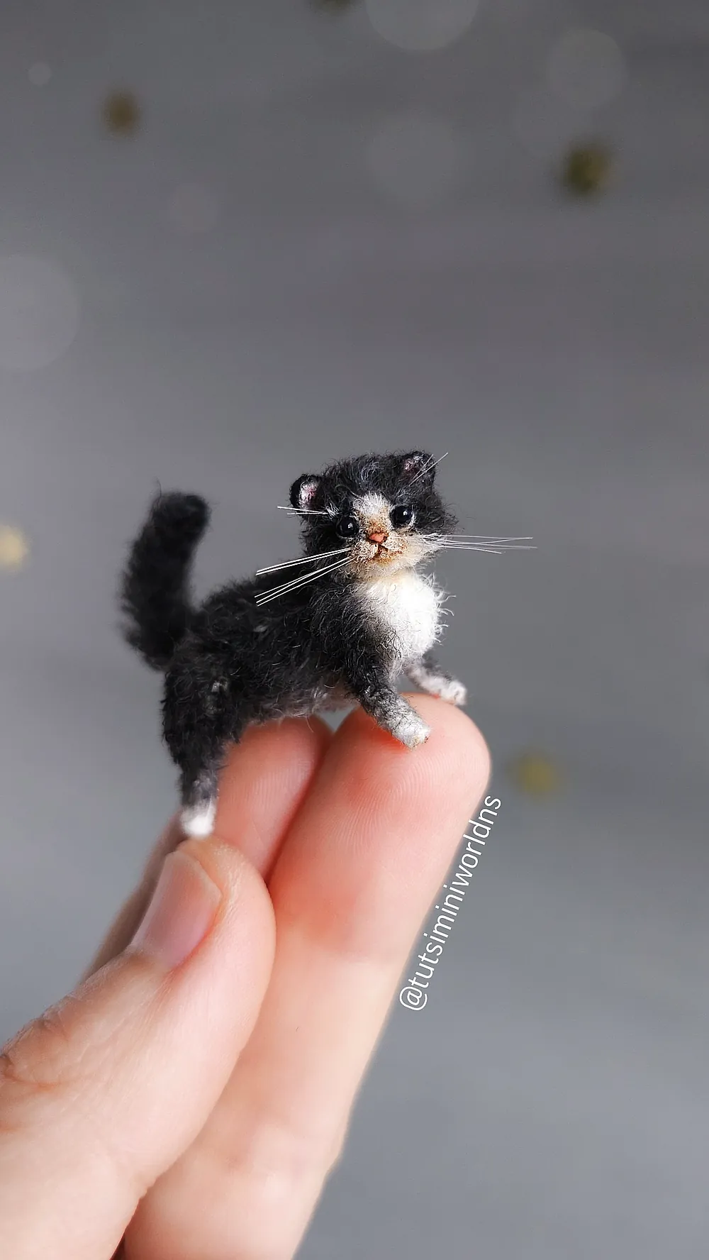 Kitten Blackie by Natasha Semenchenko - Bear Pile