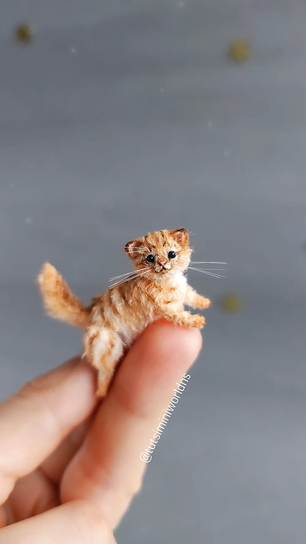Kitten Ginger by Natasha Semenchenko - Bear Pile
