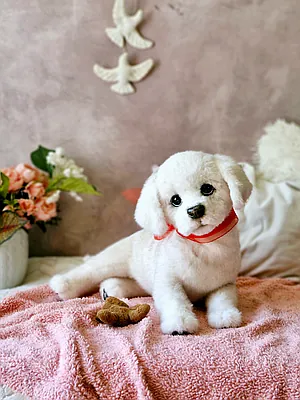 Paws & Tails Olga Kirillova ぬいぐるみ poodle dog by Olga Kirillova - Bear Pile