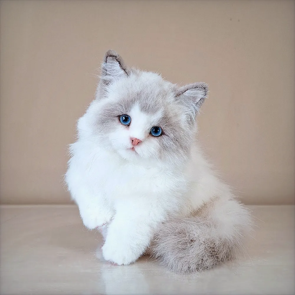 Ragdoll by Natalya Dolgaya - Bear Pile