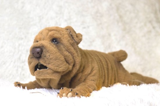 shar pei plush