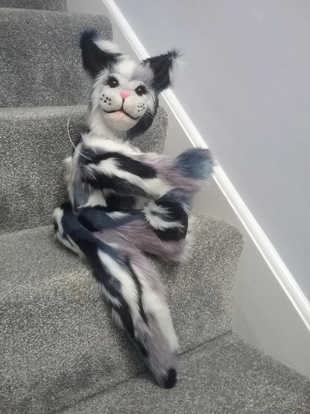 Mr Mistoffelees, Cat by Bertie Sweedlepipe - Bear Pile