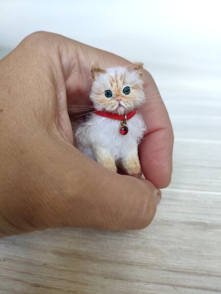 kitten Jasmine by Fedenko Natalia - Bear Pile