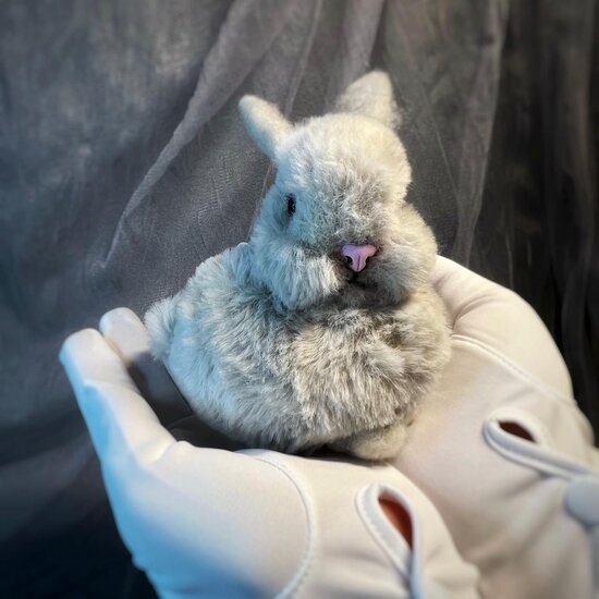 Rabbit by Alexandra Grevtseva - Bear Pile