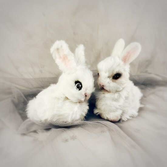 Rabbit by Alexandra Grevtseva - Bear Pile