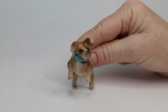 【美品】GOOD WORTH & CO. Dick Dog Toy Crazy Dog Dog Toy Funny Adult Joke Stuffed Chew Toy with