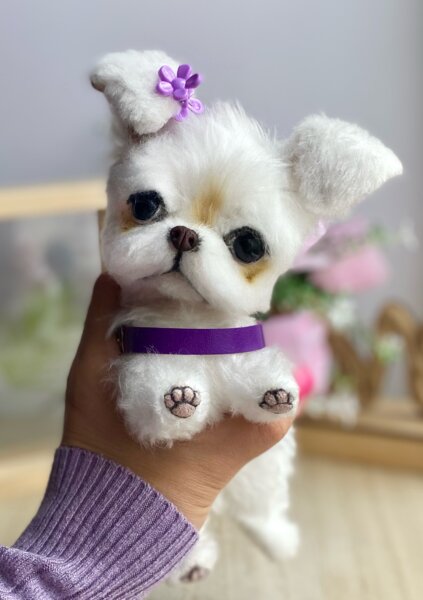 Teddy Bear Show Me A Maltese Puppy Maltese Puppy By Tamara - Main Image