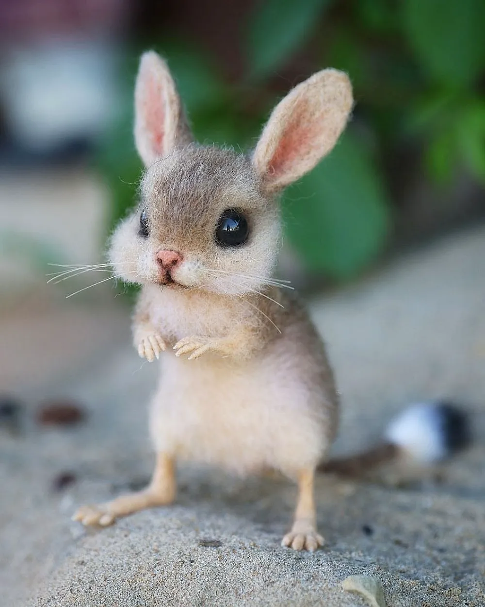 Jerboa by Julia Derevschikova - Bear Pile
