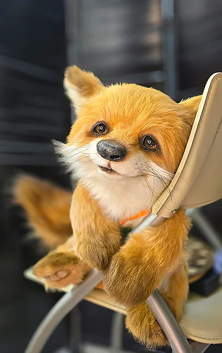 Felix the Fox by Jelena K. - Bear Pile