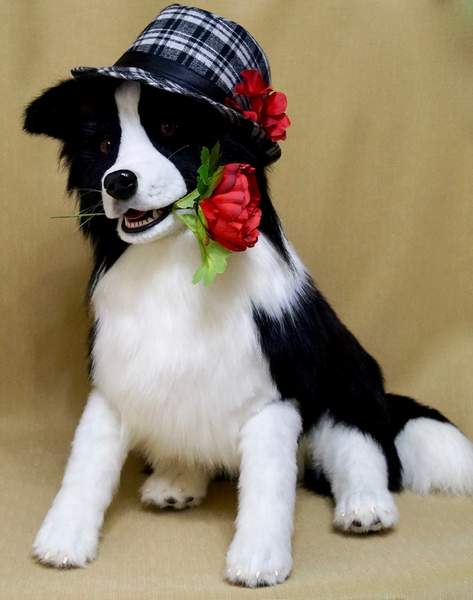border collie teddy bear