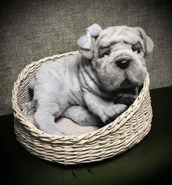 English bulldog puppy.Businka by Колосова Олеся - Bear Pile