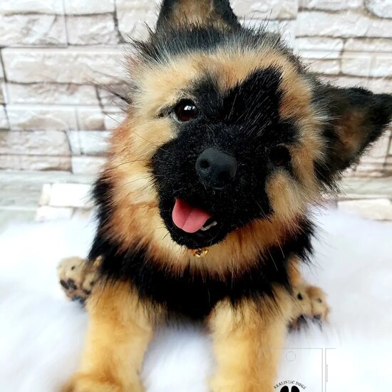 Realistic shepherd dog by Svetlana Shchetkina - Bear Pile