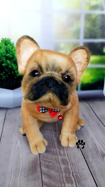 French Bulldog by Svetlana Shchetkina - Bear Pile