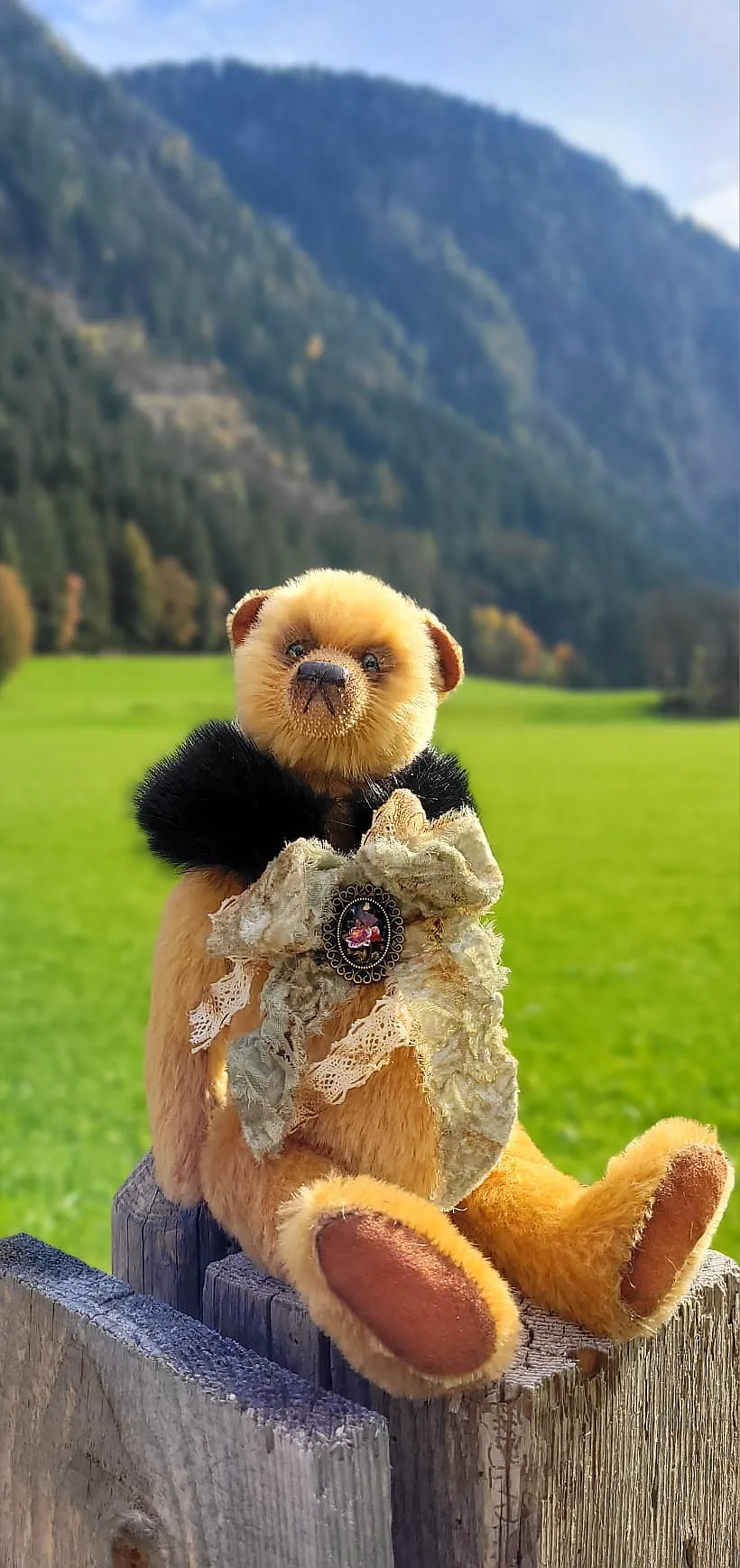 ❤️あや 様❤️ pedigree bear Arnold by Natalija Steriova - Bear Pile