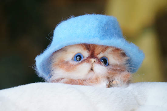 kitten Kapitoshka by Tsybina Natalia. - Bear Pile