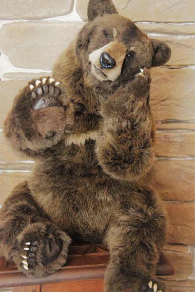 EDDY, the grizzly bear by DREAM'S BEARS - Bear Pile