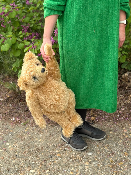 A Petz golden mohair Teddy bear, circa 1950