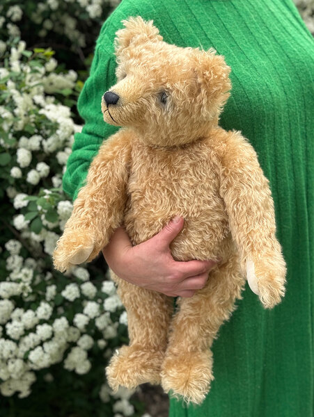 Ours Ancien Mohair Miel Doré - Années 1950 - 33 Cm - Old Teddy Bear