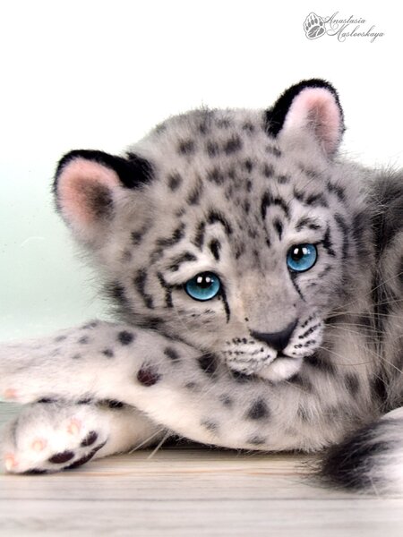 Snow leopard baby by Anastasia Maslovskaya Bear Pile
