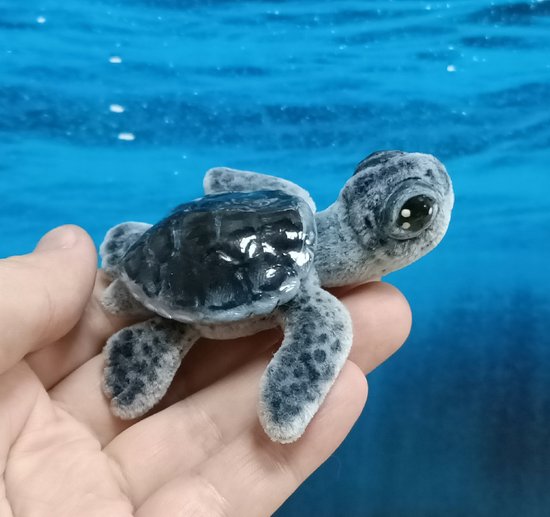 Tide The Sea Turtle By Alina Biliakova Bear Pile