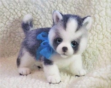 husky small puppy