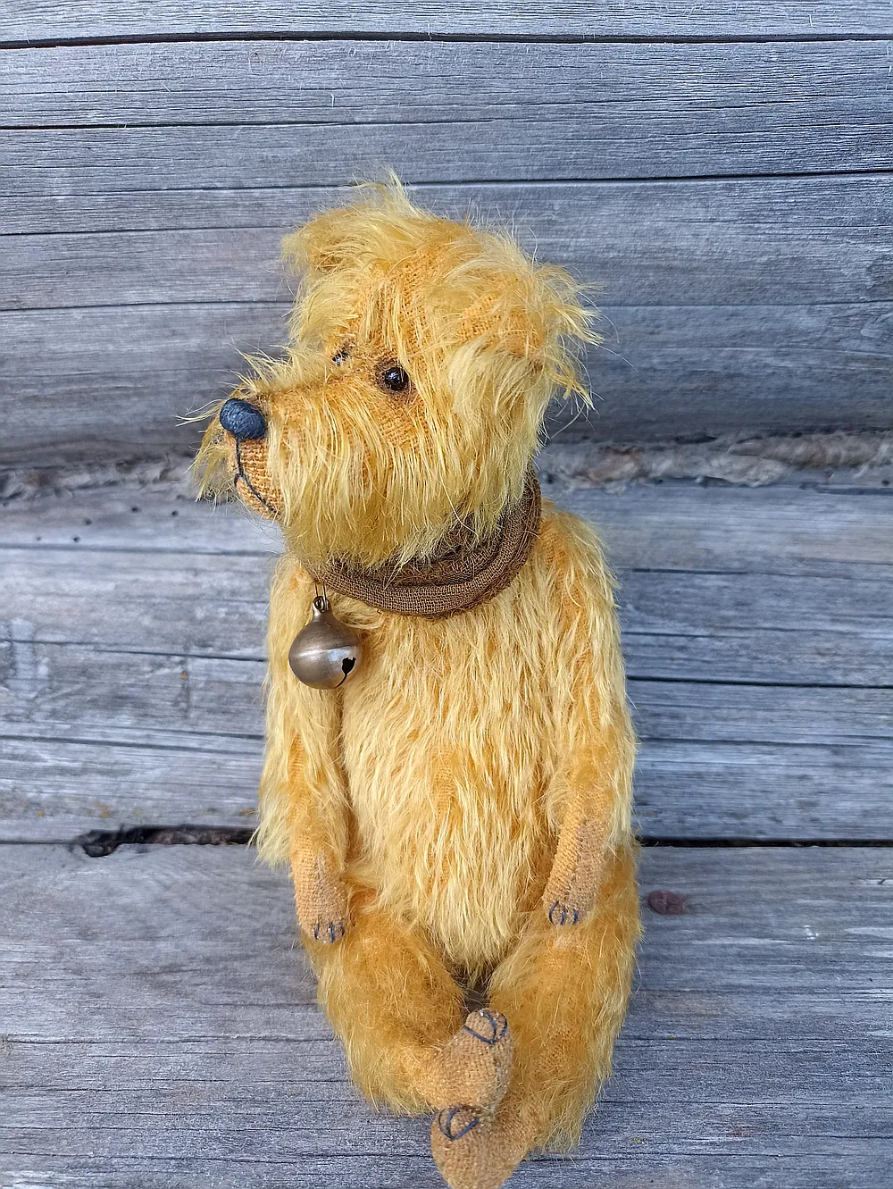 Old dog Jim by Zheleznova Svetlana - Bear Pile