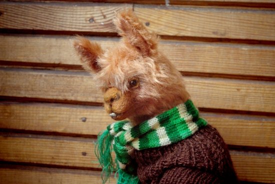 teddy lama